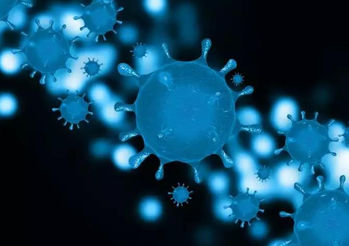 新冠病毒更喜歡脂肪嗎?肥胖人群是不是更容易感染新冠?